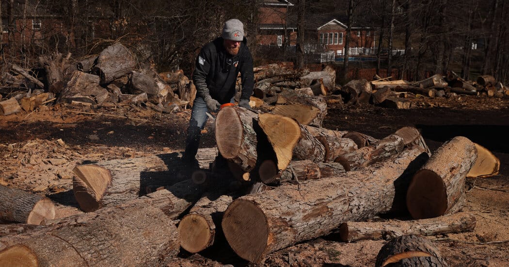 Shivering Americans Snap Up Firewood as Winter Grinds On — NYT > Business > Energy & Environment