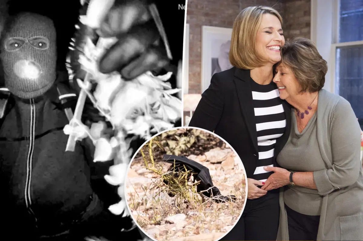 DNA from glove matches suspect in Nancy Guthrie search — Pagesix