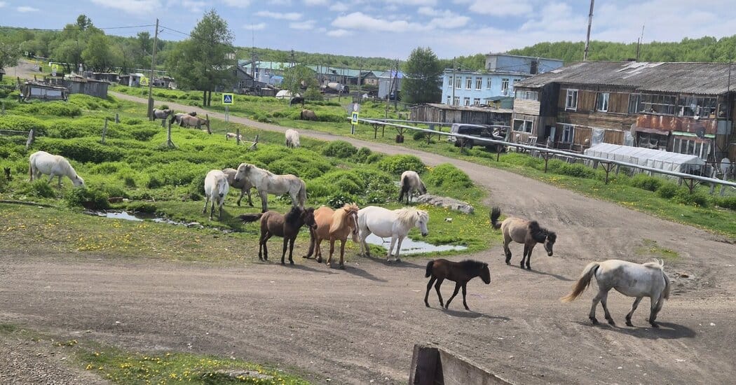 A Russian ‘Village of Military Valor’ Waits for Its Reward — NYT > World News