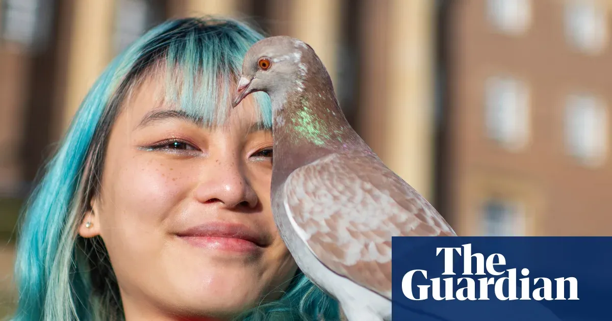 Pooping menaces or ‘flying puppies’? How pigeons are dividing a UK city — Lifestyle | The Guardian