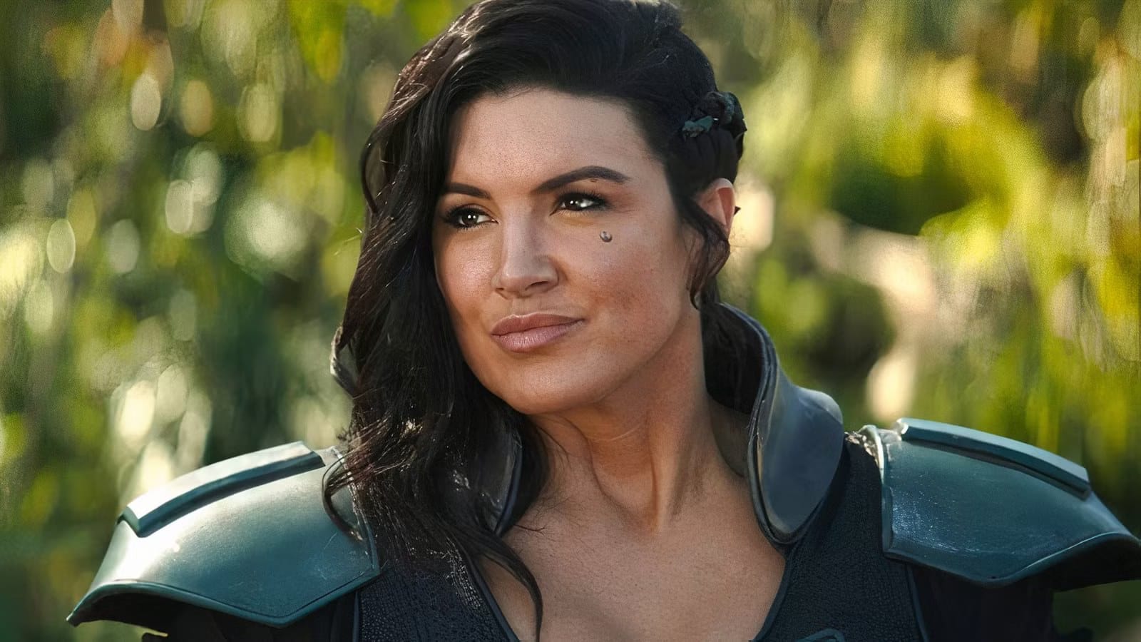 Gina Carano to Fight Ronda Rousey in Netflix-Streamed Bout — Movieweb