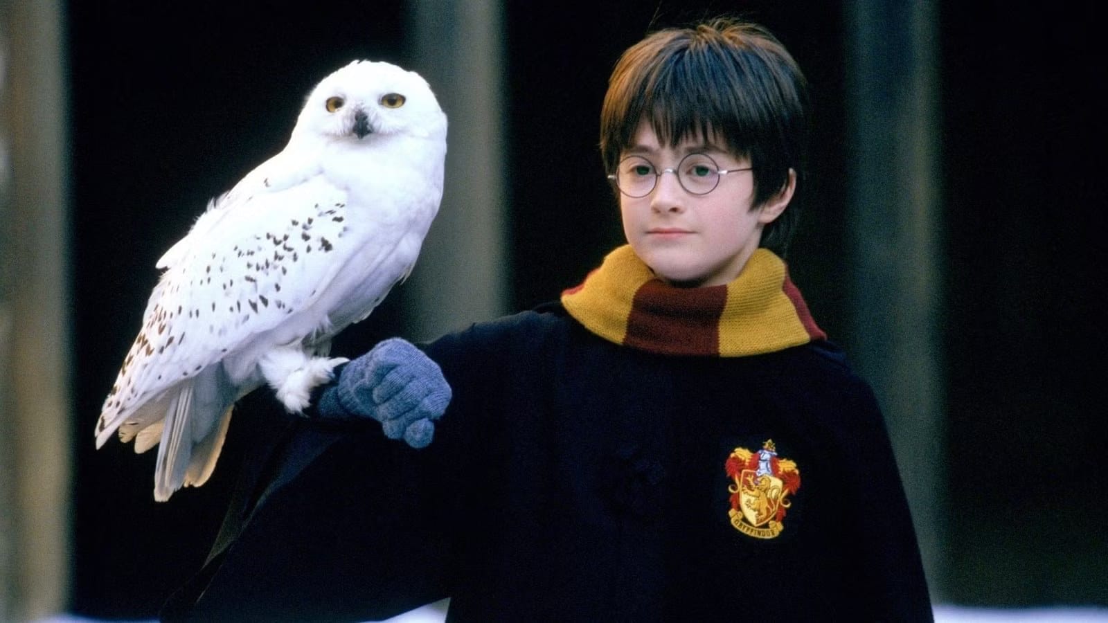 Daniel Radcliffe: New HBO Harry Potter Could Be 'Better Than' Me — Collider