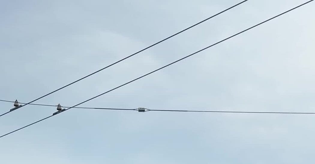 Vibe’s obscure billboards aim at start-up insiders — NYT > Technology