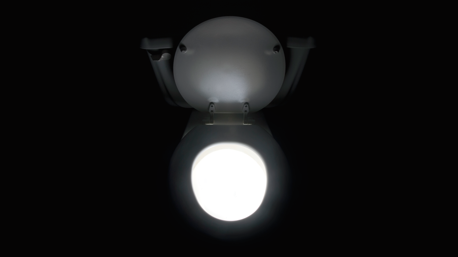 Japanese toilet maker called 'most undervalued and overlooked' AI beneficiary — Pcgamer