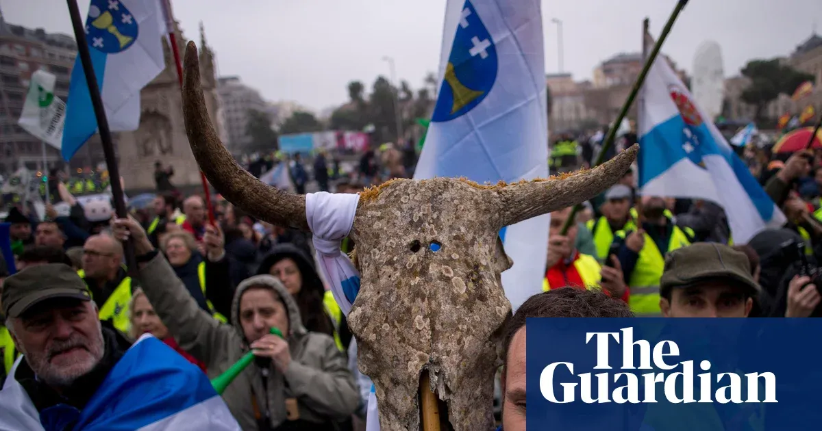 Study finds EU subsidies favour beef and lamb over legumes 580-fold — World news | The Guardian