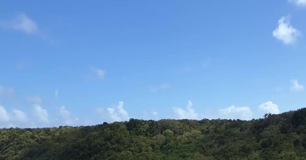 In Guadeloupe, Every Beach Is Better Than the Last — NYT > Travel