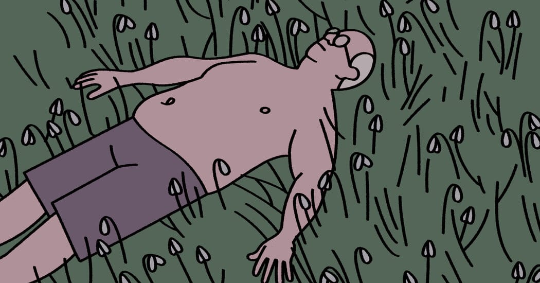 2026 Oscar-Nominated Short Films: Major Themes, Minor Lengths — NYT > Movies