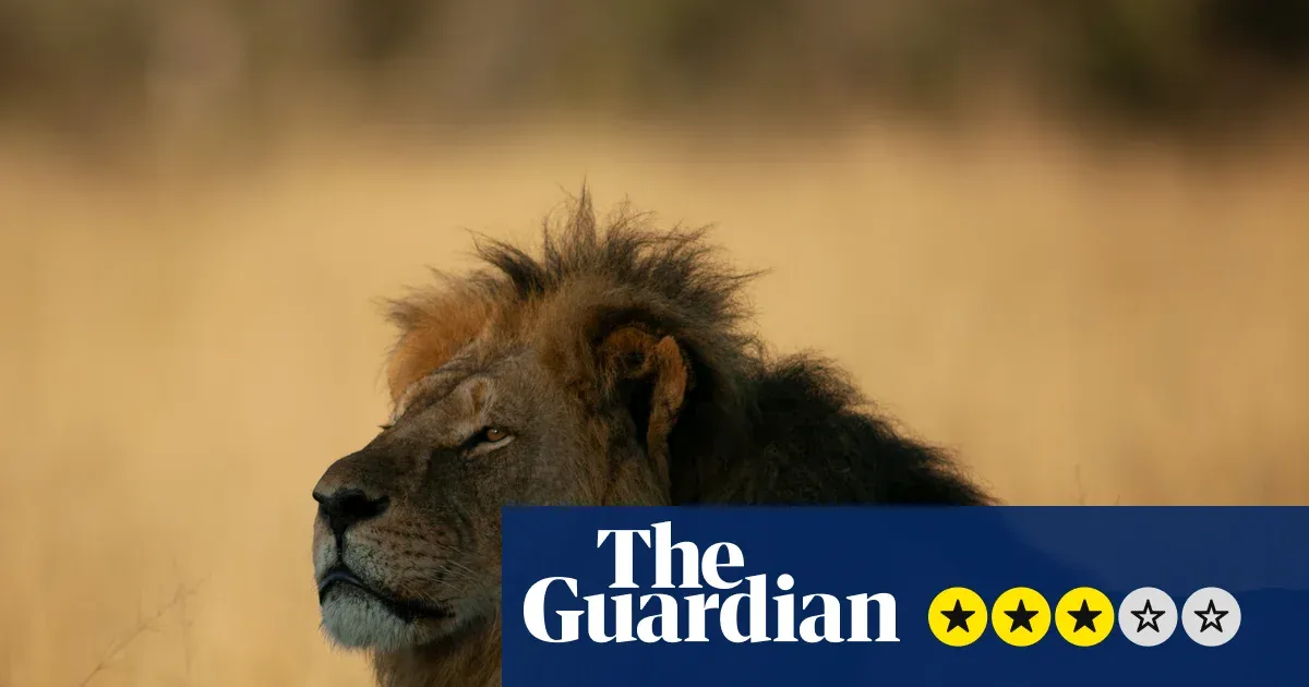 Cecil: The Lion and the Dentist review — Culture | The Guardian