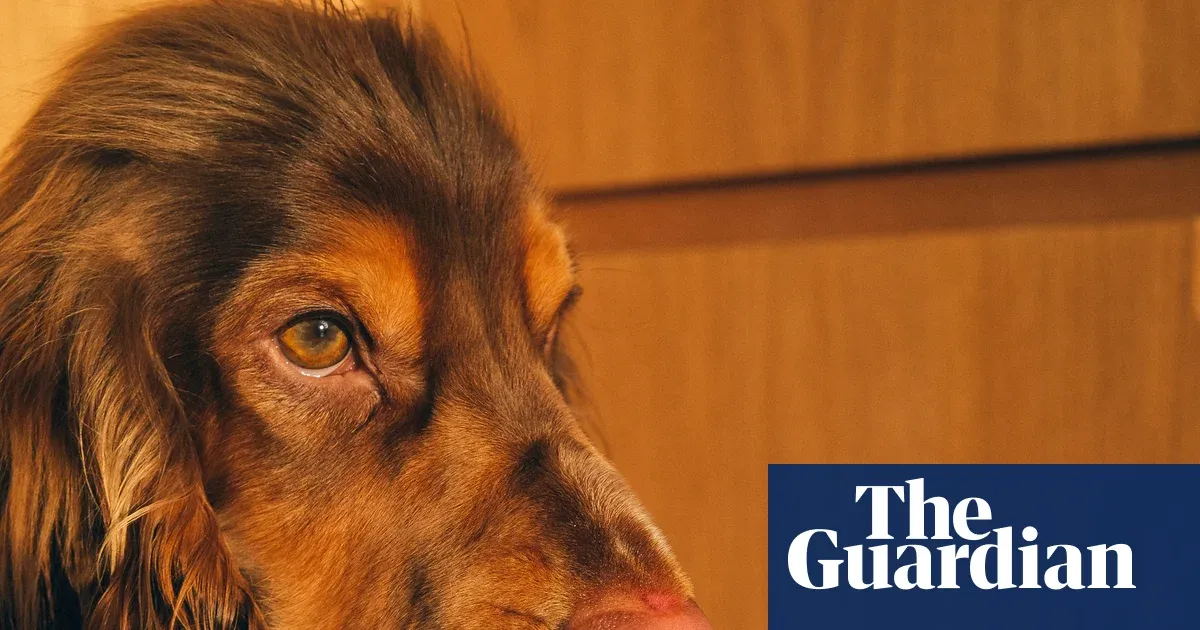 24 photography exhibition 2026 – in pictures — Culture | The Guardian