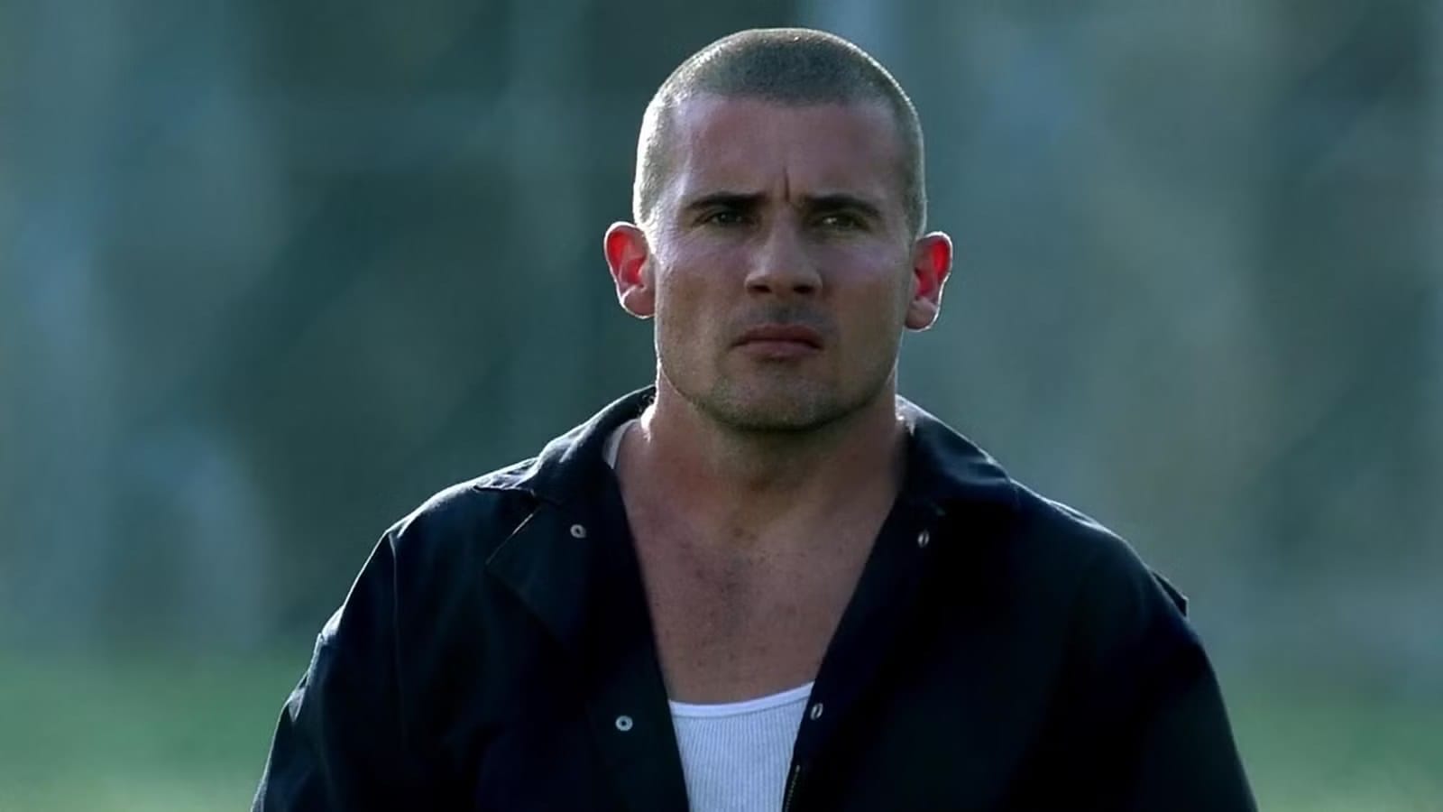 Prison Break Is an Underrated Crime Thriller Beloved by Stephen King — Movieweb
