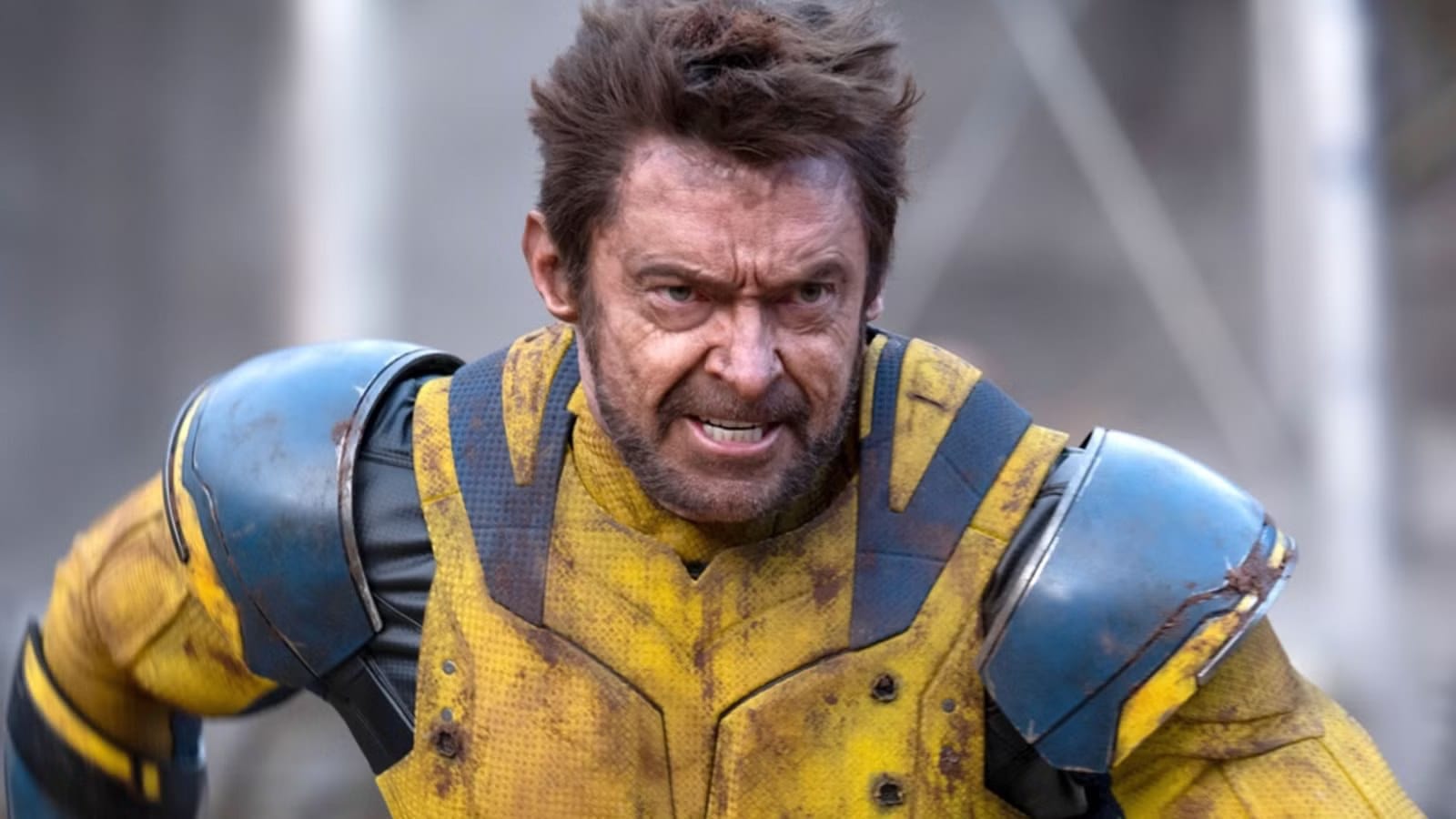 Daniel Radcliffe says he won't replace Hugh Jackman as Wolverine — Movieweb