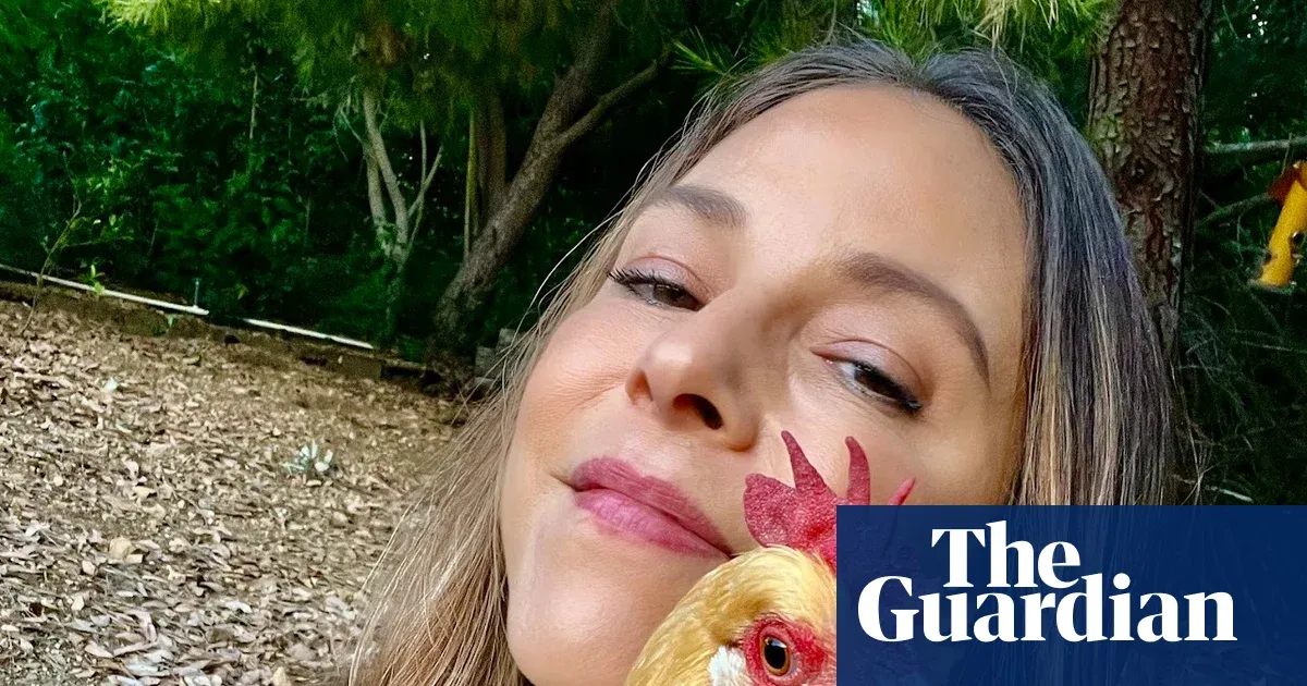 Stevie, the chicken who joined my dog pack — Lifestyle | The Guardian