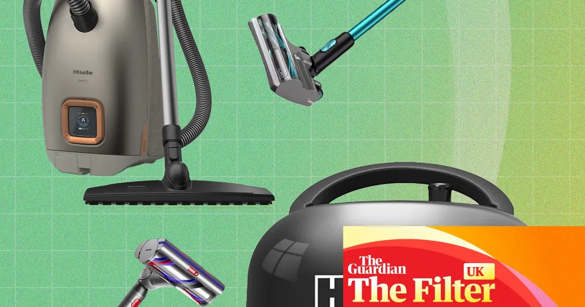 Best vacuum cleaners in the UK: corded, cordless, budget and pet hair picks — Lifestyle | The Guardian