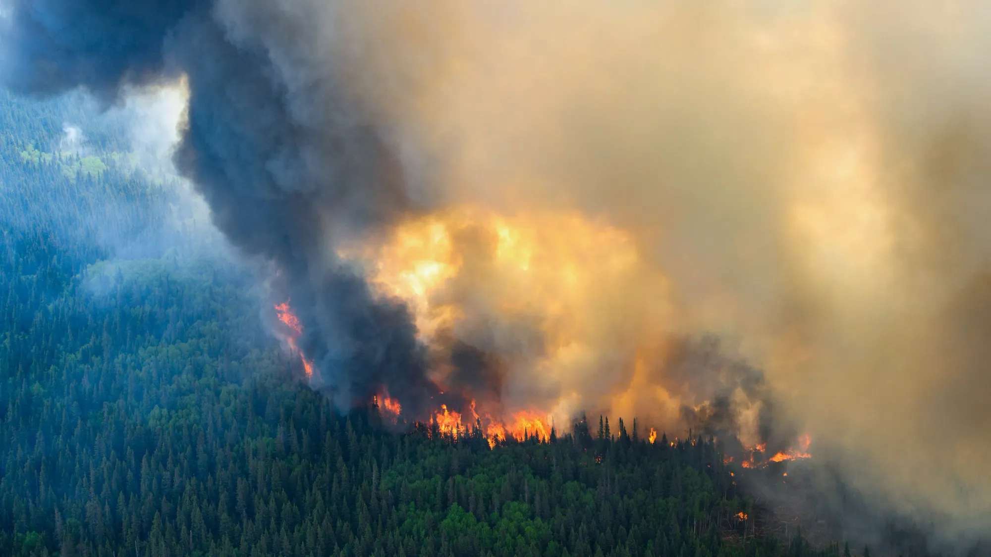 Startup says it can stop lightning to prevent catastrophic wildfires — MIT Technology Review