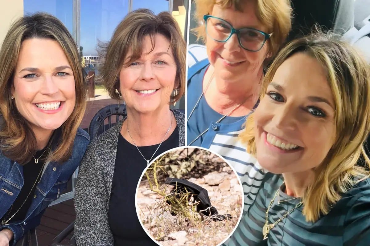 Sheriff: Viral gloves in Nancy Guthrie search unrelated — Pagesix