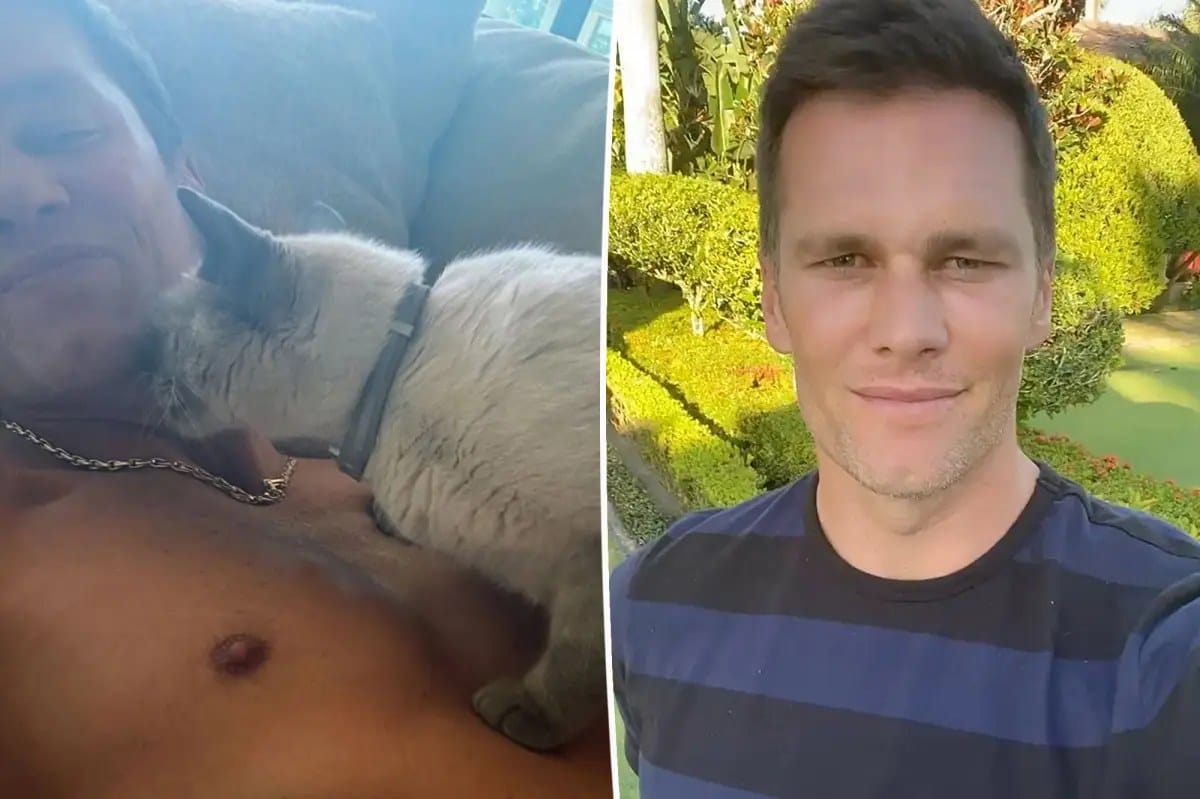 Shirtless Tom Brady cuddles his cat in Instagram Stories — Pagesix
