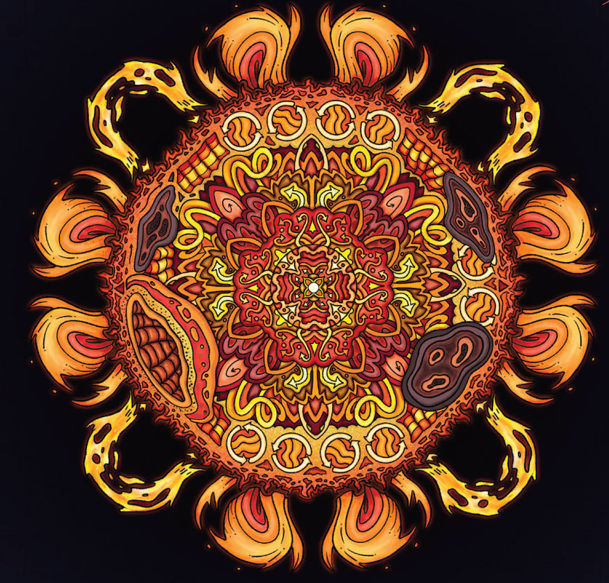 Journey Through the Heliosphere: The Sun-Earth System in Color — NASA Science