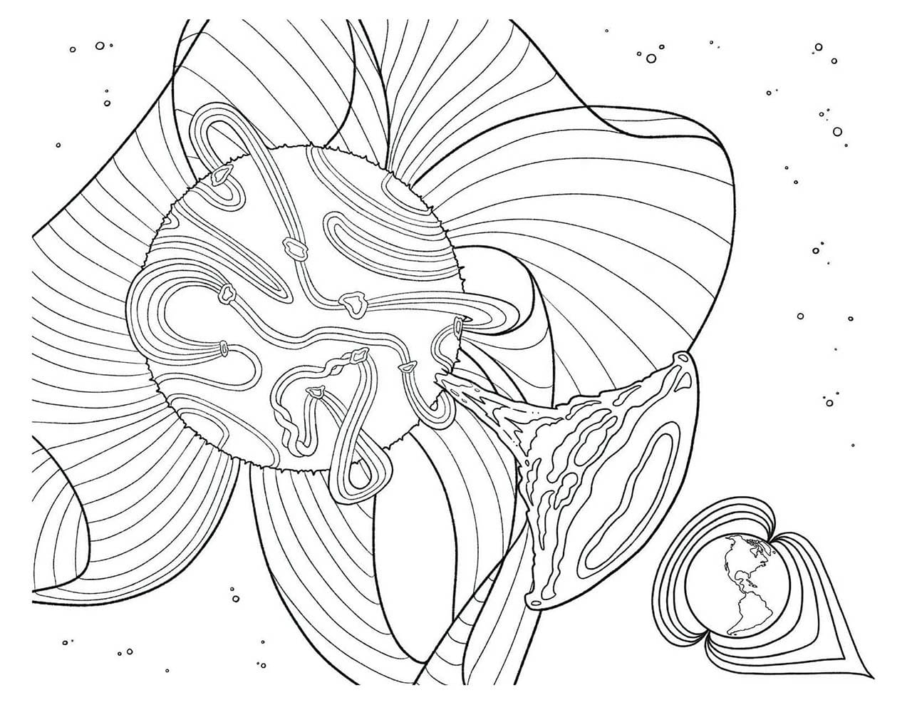 Journey Through the Heliosphere: Solar Magnetic Fields — NASA Science