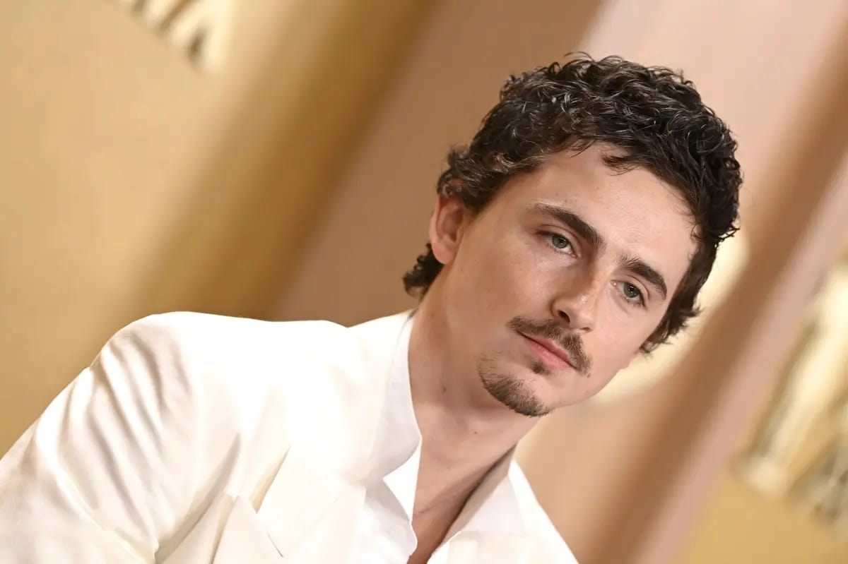 Timothée Chalamet criticized for saying 'no one cares' about ballet, opera — Pagesix