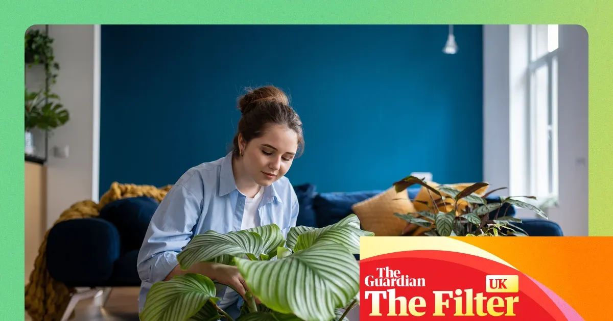 Best places to buy plants online, from top gardeners — Lifestyle | The Guardian