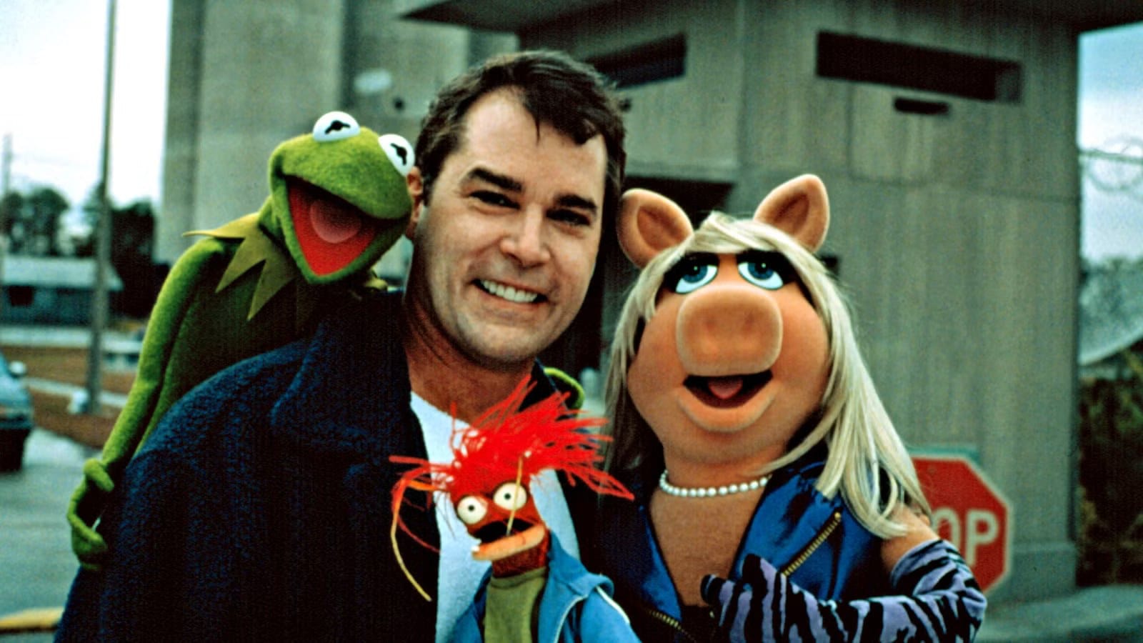 The Muppets star Pepé turns 30: 'He's kind of like a male Miss Piggy' — Polygon