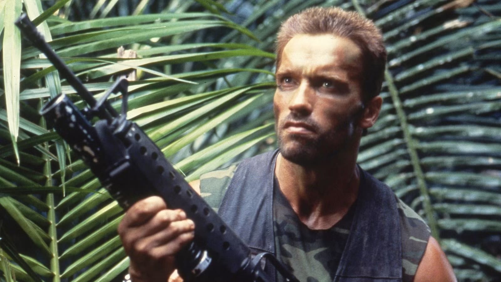 Arnold Schwarzenegger Confirms Return for New Predator Sequel — Movieweb
