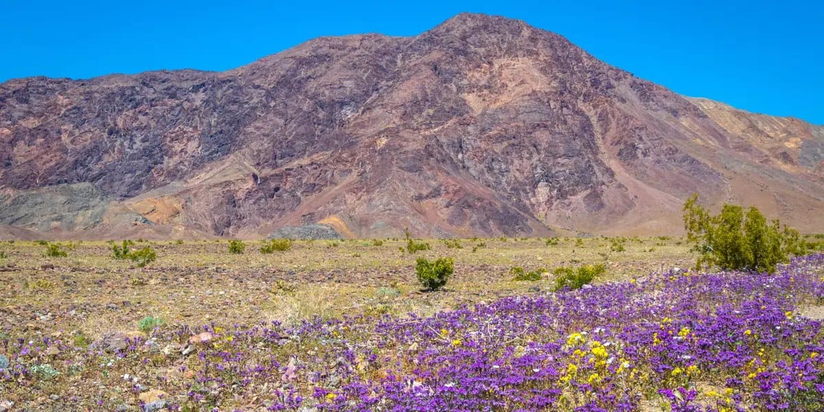 Six US national parks worth visiting in spring — Businessinsider