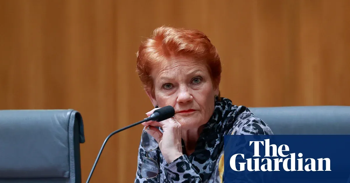 Pauline Hanson used taxpayer-funded solar rebate despite opposing renewables subsidies — World news | The Guardian