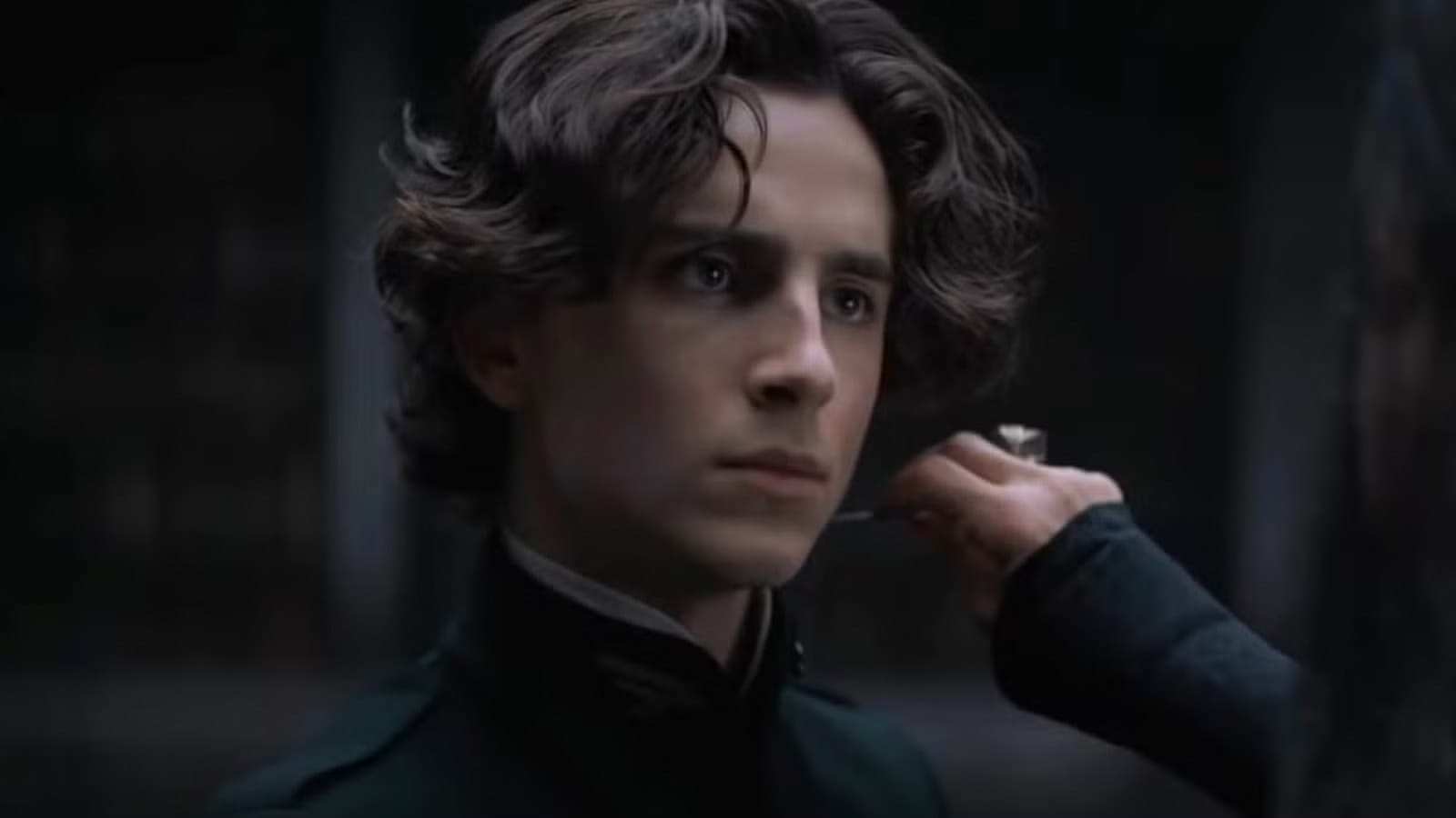 Timothée Chalamet Called "Vapid" & "Shallow" After Recent Opera Comments — Movieweb