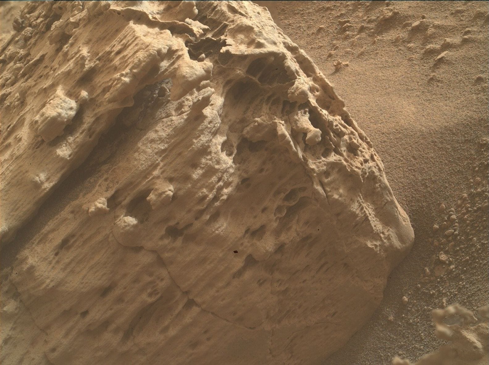 Curiosity Explores Boxwork Borderlands — NASA Science