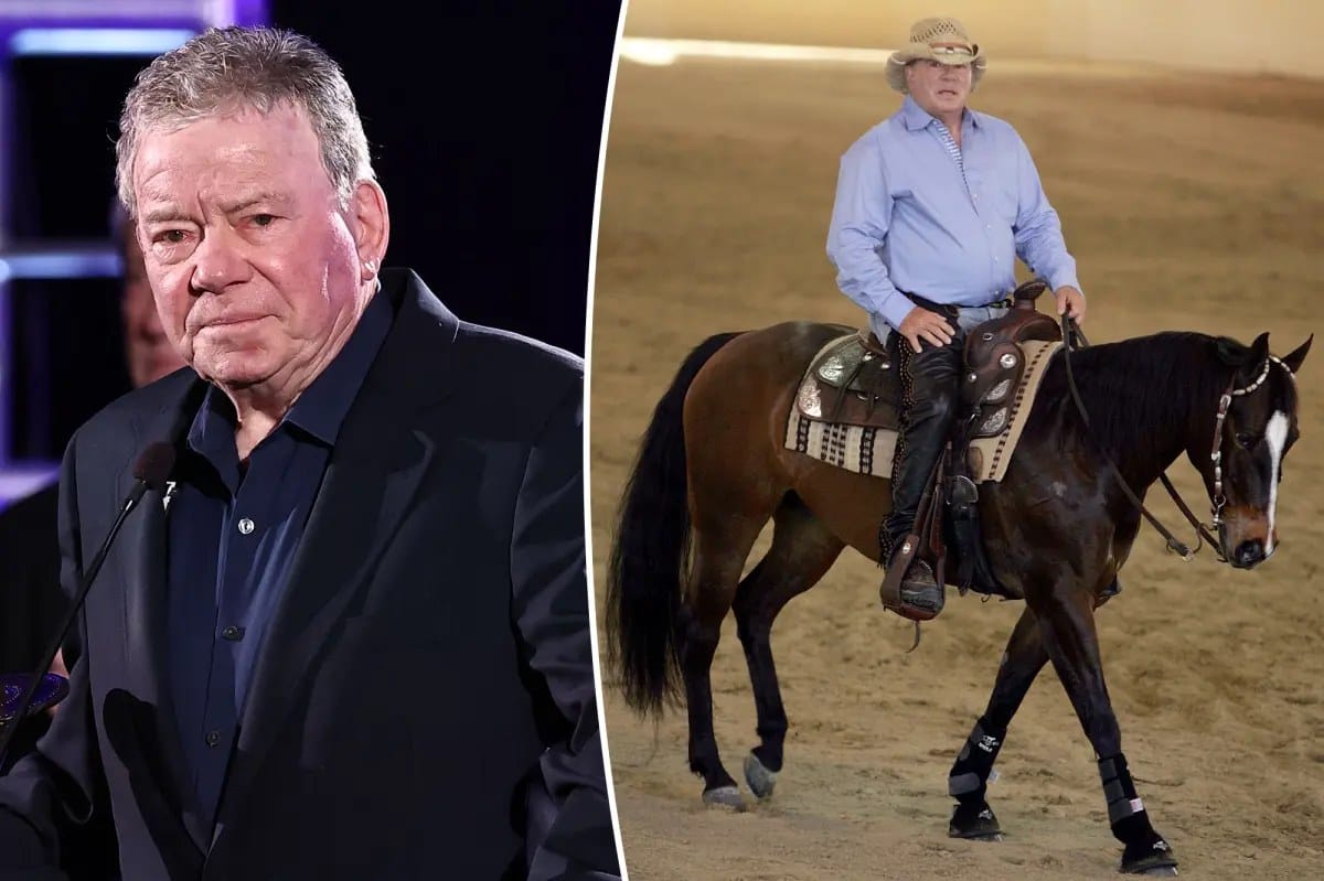William Shatner, 94, to undergo surgery following terrifying horse accident — Pagesix