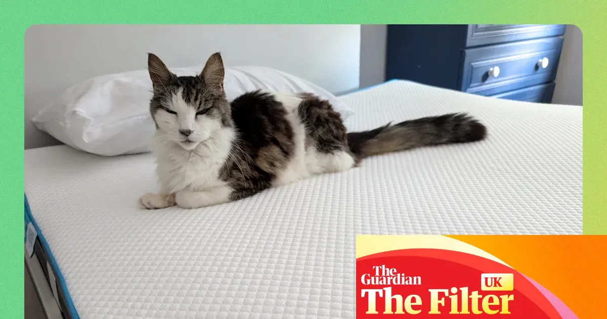 The best mattress toppers for a more comfortable night’s sleep — Lifestyle | The Guardian