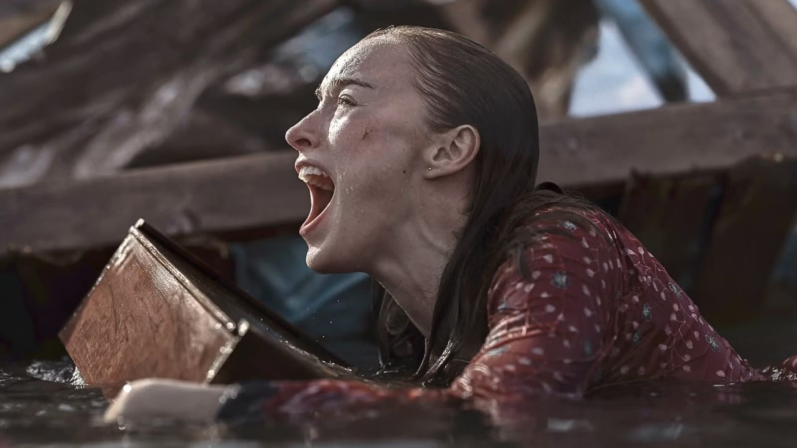 Netflix's Thrash Trailer Promises a Perfect Shark Storm — Movieweb