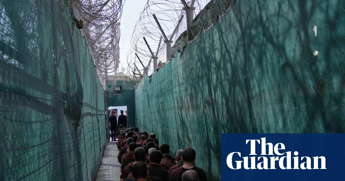 Iraqi official urges Australia to take back alleged IS fighters — World news | The Guardian