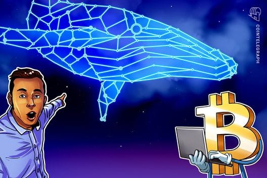 Bitcoin Whales Resume Accumulation Near $71K, Santiment — Cointelegraph.com News