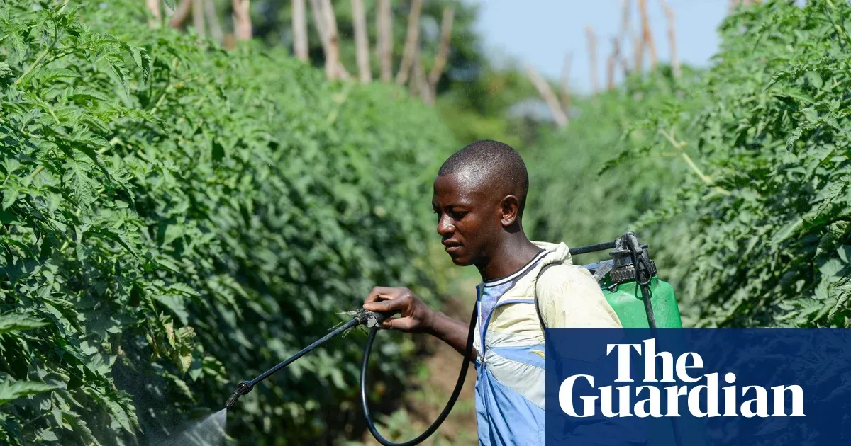 Africa vulnerable as Iran conflict disrupts supply chains, say experts — World news | The Guardian