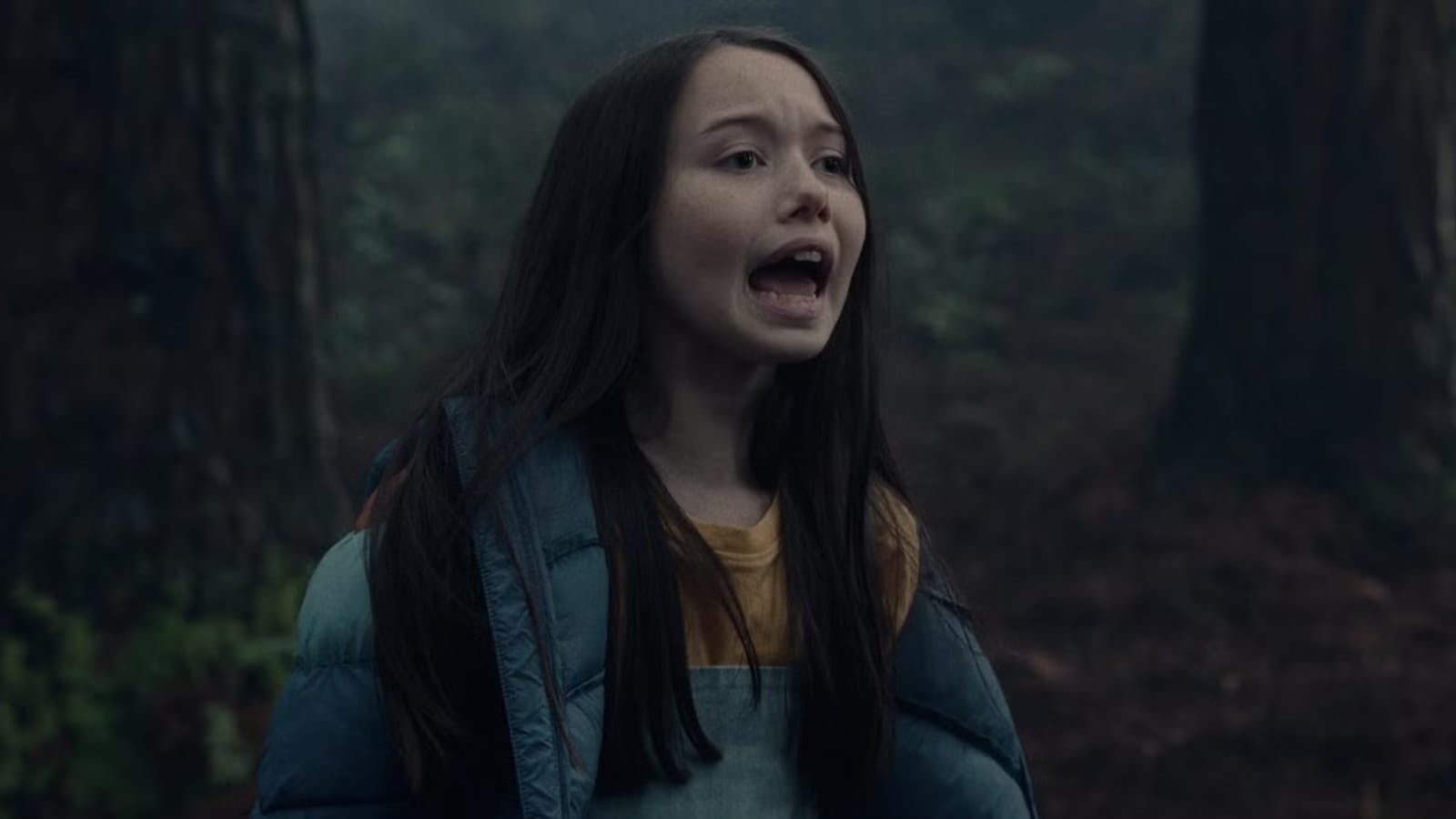 Allison Williams Says "Sun Never Sets" on the M3GAN Franchise — Movieweb