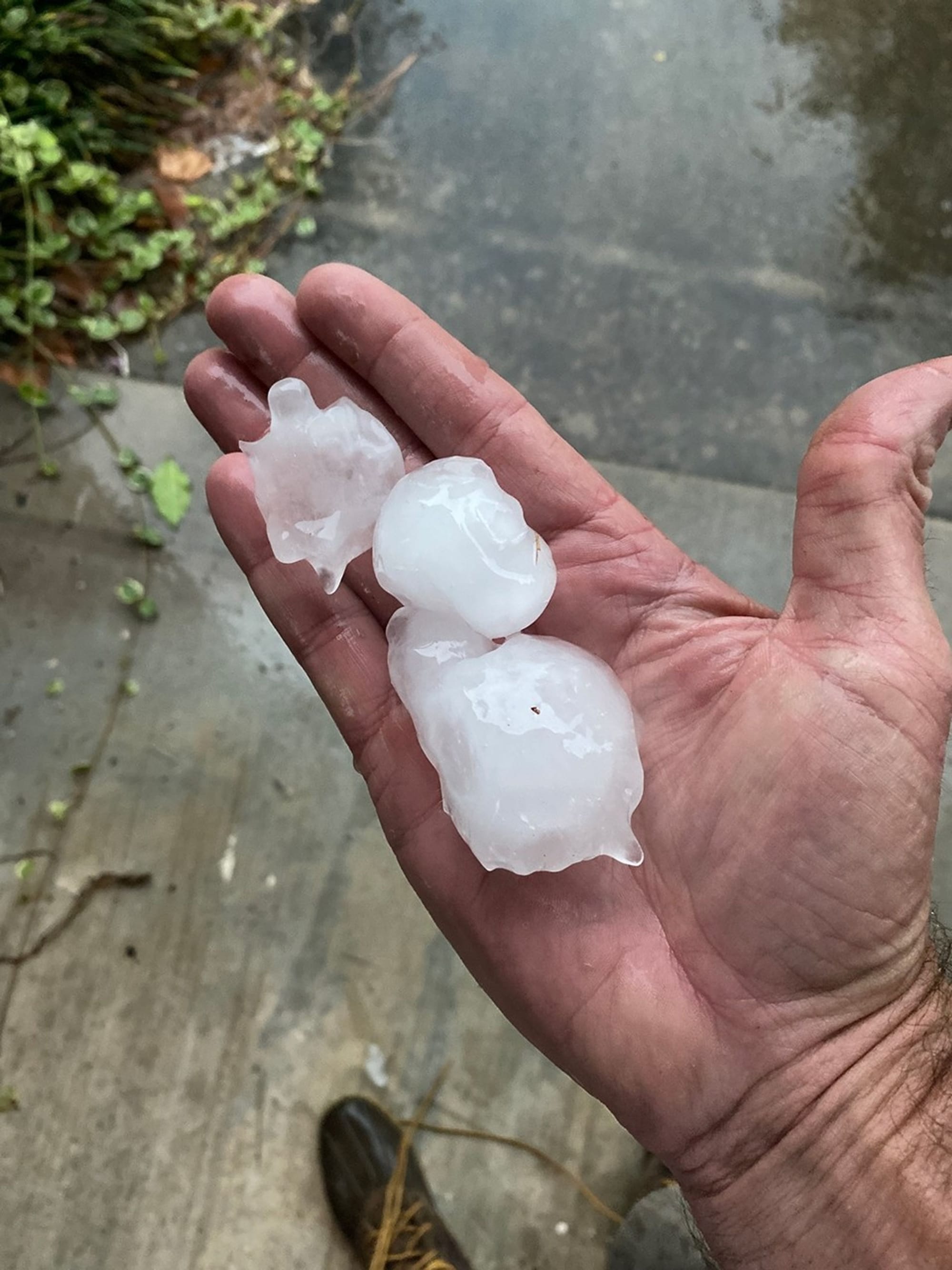 Volunteers help NASA estimate hail size and melting — NASA Science