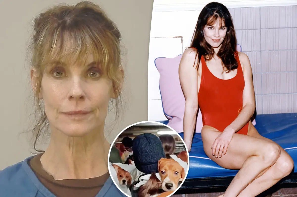 Baywatch actress Alexandra Paul arrested again in beagle rescue protest — Pagesix