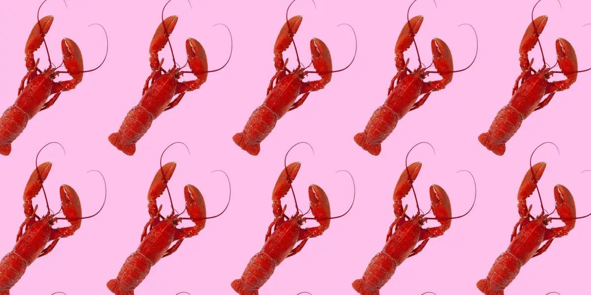 OpenClaw sparks lobster hats and claw-hand culture — Businessinsider