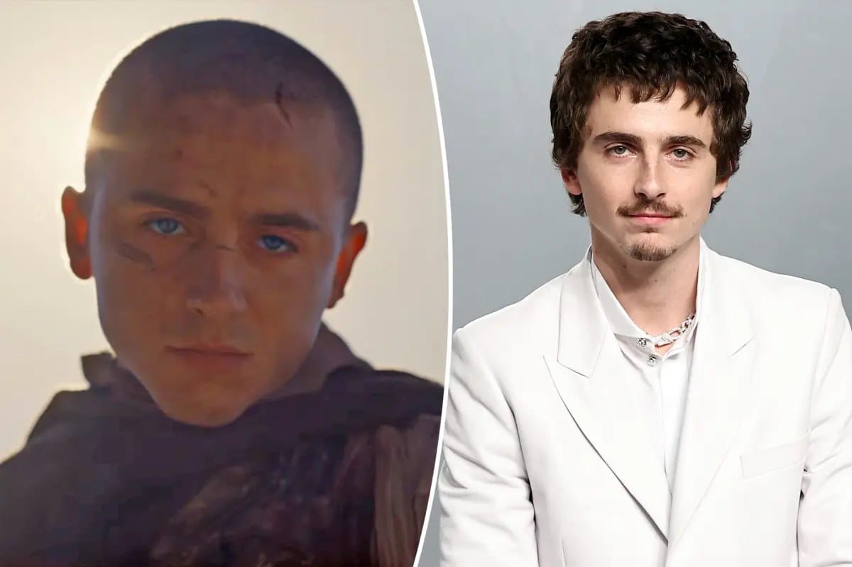 See Timothée Chalamet's shaved head in first 'Dune: Part 3' trailer — Pagesix