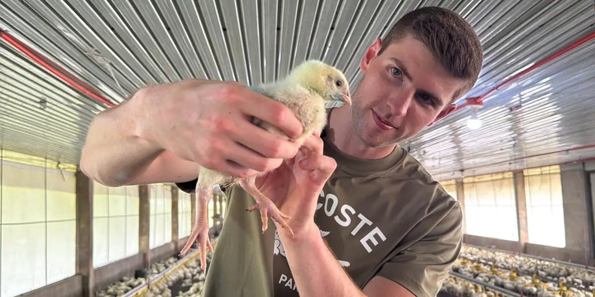 From six-figure banker to chicken farmer in the Philippines — Businessinsider