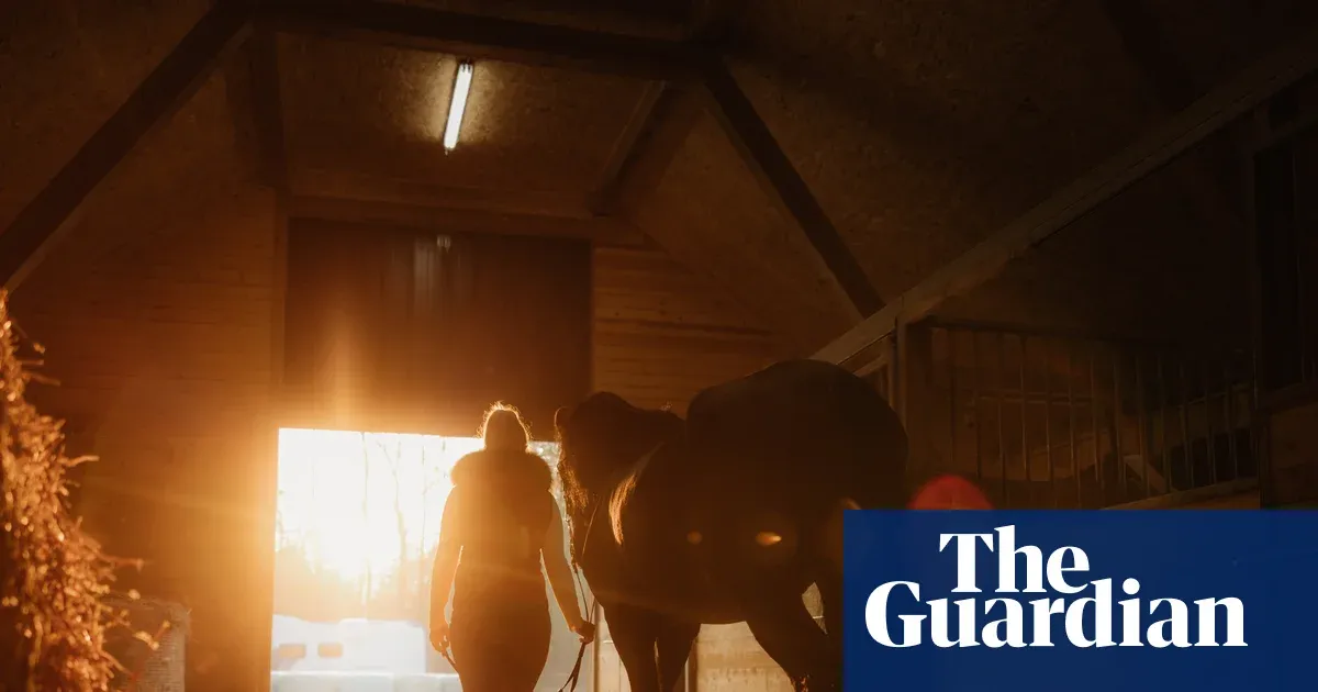 Mare by Emily Haworth-Booth — a woman's love for a horse — Culture | The Guardian