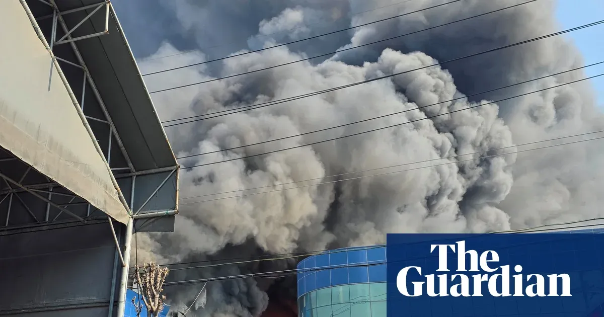 At least 14 people killed in fire at South Korean car parts factory — World news | The Guardian