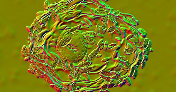 Partner treatment option emerges as bacterial vaginosis is seen as sexually transmissible — Static01.nyt.com