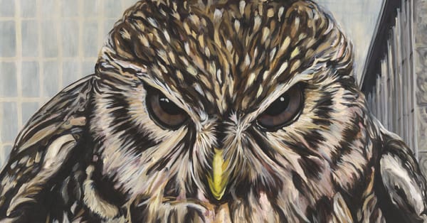 Will Heinrich highlights Euler, Rosenfeld and Heckel gallery shows in New York — Static01.nyt.com