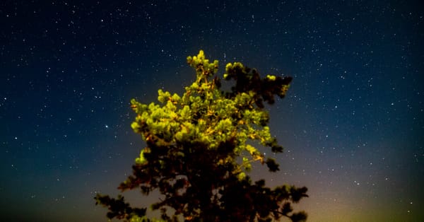 Upper Peninsula campaign seeks to repeal ban and protect dark skies — Static01.nyt.com