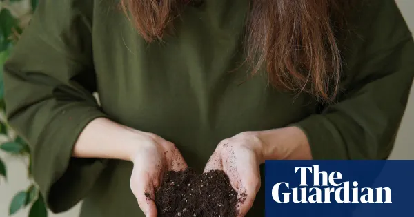 When to refresh or replace used potting mix — I.guim.co.uk