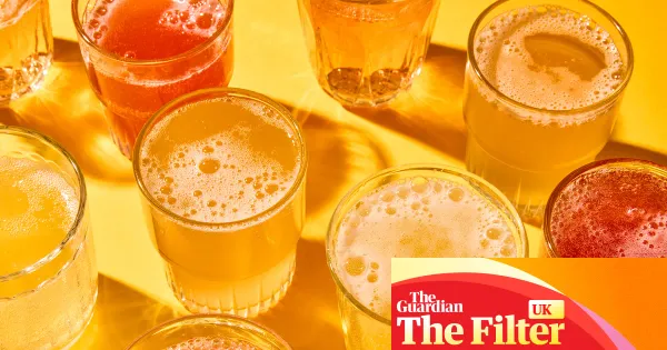 Reviewer names Holos ginger & hibiscus the best supermarket kombucha — I.guim.co.uk