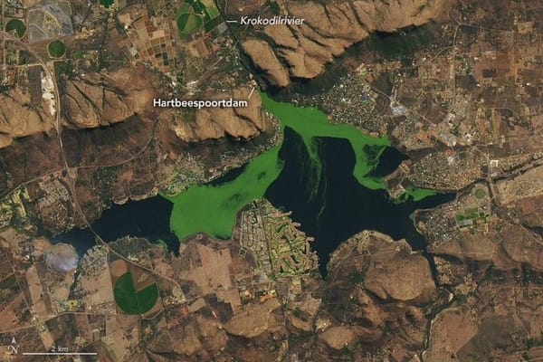 Satellite animation shows algal blooms at Hartbeespoort reservoir — Assets.science.nasa.gov